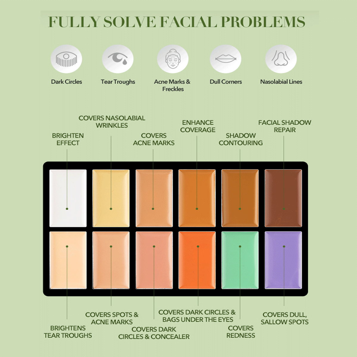 IMAGIC 12 COLOR CONCEALER PALETTE (FA-137)